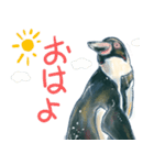 フンボルトペンギンたち（個別スタンプ：2）