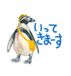 フンボルトペンギンたち（個別スタンプ：4）