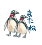 フンボルトペンギンたち（個別スタンプ：40）