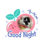 もこにゃんまめにゃん（個別スタンプ：2）