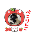 もこにゃんまめにゃん（個別スタンプ：3）