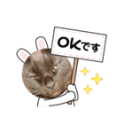 にゃんてスタンプ②（個別スタンプ：7）