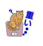 猫との毎日（個別スタンプ：4）