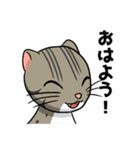 野生の猫達（個別スタンプ：8）