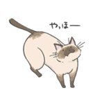 おキャットさま（個別スタンプ：17）