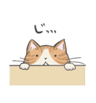 おキャットさま（個別スタンプ：36）