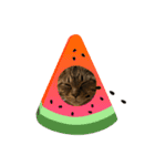 保護猫チクワ（個別スタンプ：2）