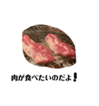 肉肉肉 肉食べたい（個別スタンプ：25）