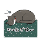 ねこけもの（個別スタンプ：7）