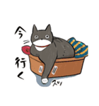 ねこけもの（個別スタンプ：8）