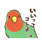 主張の激しいコザクラインコ2（個別スタンプ：6）