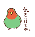 主張の激しいコザクラインコ2（個別スタンプ：17）