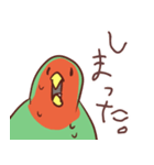 主張の激しいコザクラインコ2（個別スタンプ：24）