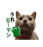 ロシアンブルーねこ「さくら」【ダジャレ】（個別スタンプ：11）