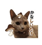 ロシアンブルーねこ「さくら」【ダジャレ】（個別スタンプ：12）
