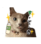 ロシアンブルーねこ「さくら」【ダジャレ】（個別スタンプ：14）