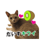 ロシアンブルーねこ「さくら」【ダジャレ】（個別スタンプ：16）