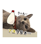 ロシアンブルーねこ「さくら」【ダジャレ】（個別スタンプ：24）