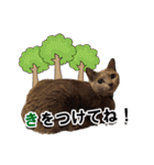 ロシアンブルーねこ「さくら」【ダジャレ】（個別スタンプ：28）