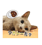 ロシアンブルーねこ「さくら」【ダジャレ】（個別スタンプ：29）