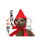 ロシアンブルーねこ「さくら」【ダジャレ】（個別スタンプ：33）