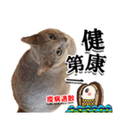 ロシアンブルーねこ「さくら」【ダジャレ】（個別スタンプ：35）