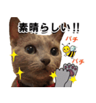 ロシアンブルーねこ「さくら」【ダジャレ】（個別スタンプ：38）