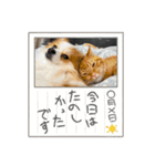 天とらんま。そのに（個別スタンプ：14）
