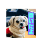 一犬十色2（個別スタンプ：15）