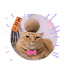 ガッシーねこーず2022冬1月（個別スタンプ：31）