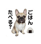 フレブルのジョージさん③（個別スタンプ：1）