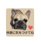 フレブルのジョージさん③（個別スタンプ：4）