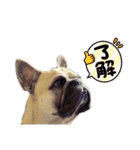 フレブルのジョージさん③（個別スタンプ：9）