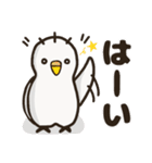 セキセイインコのしどちゃん（個別スタンプ：1）