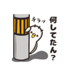 セキセイインコのしどちゃん（個別スタンプ：36）