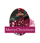 merry Christmasなの！（個別スタンプ：7）