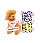 カプア*（個別スタンプ：2）