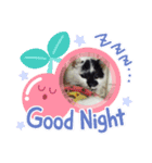 もこちゃんまめちゃん（個別スタンプ：2）