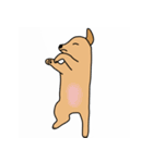ダップー犬ハピ（個別スタンプ：11）