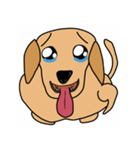 ダップー犬ハピ（個別スタンプ：12）