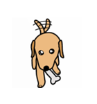 ダップー犬ハピ（個別スタンプ：15）