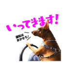 ちずコレ#2（個別スタンプ：23）