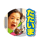 ちずコレ#2（個別スタンプ：24）