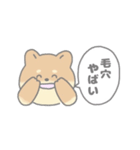 ニコニコな柴犬【美容編】（個別スタンプ：27）