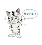 気持ち伝わる☆白タイガーのアクア（個別スタンプ：21）