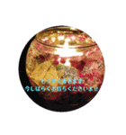 candle BLUE MOON Megumu（個別スタンプ：11）