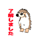 ハリネズミです よろしく（個別スタンプ：25）