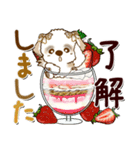 シーズー犬 96『敬語＆sweets』（個別スタンプ：3）