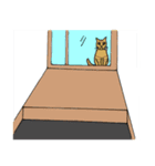 猫のあるある（個別スタンプ：18）