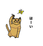 猫のあるある（個別スタンプ：27）